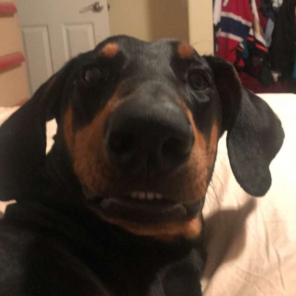 Meet your Posher, Keenan